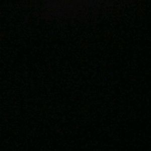 Meet your Posher, Daisy